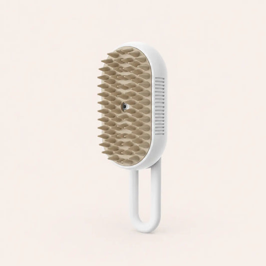 Brosse à vapeur