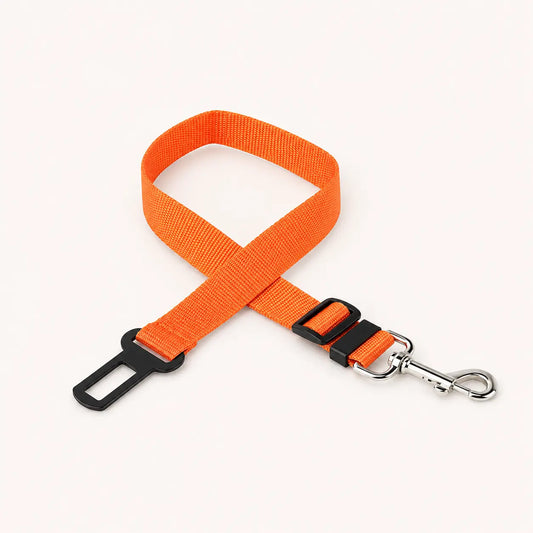 Ceinture de sécurité Puppico
