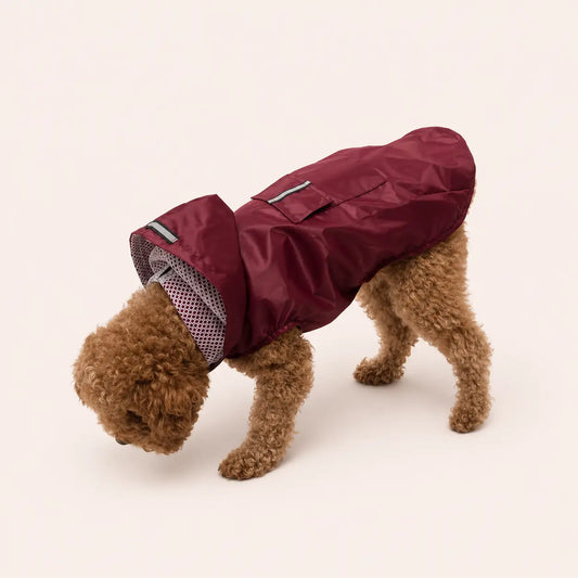 Manteau imperméable réflechissant pour chien