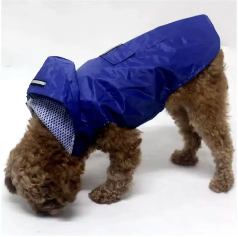 Manteau imperméable réflechissant pour chien