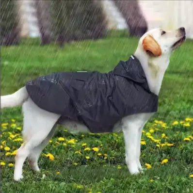 Manteau imperméable réflechissant pour chien