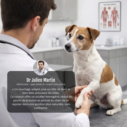 Lit orthopédique pour chiens Puppico