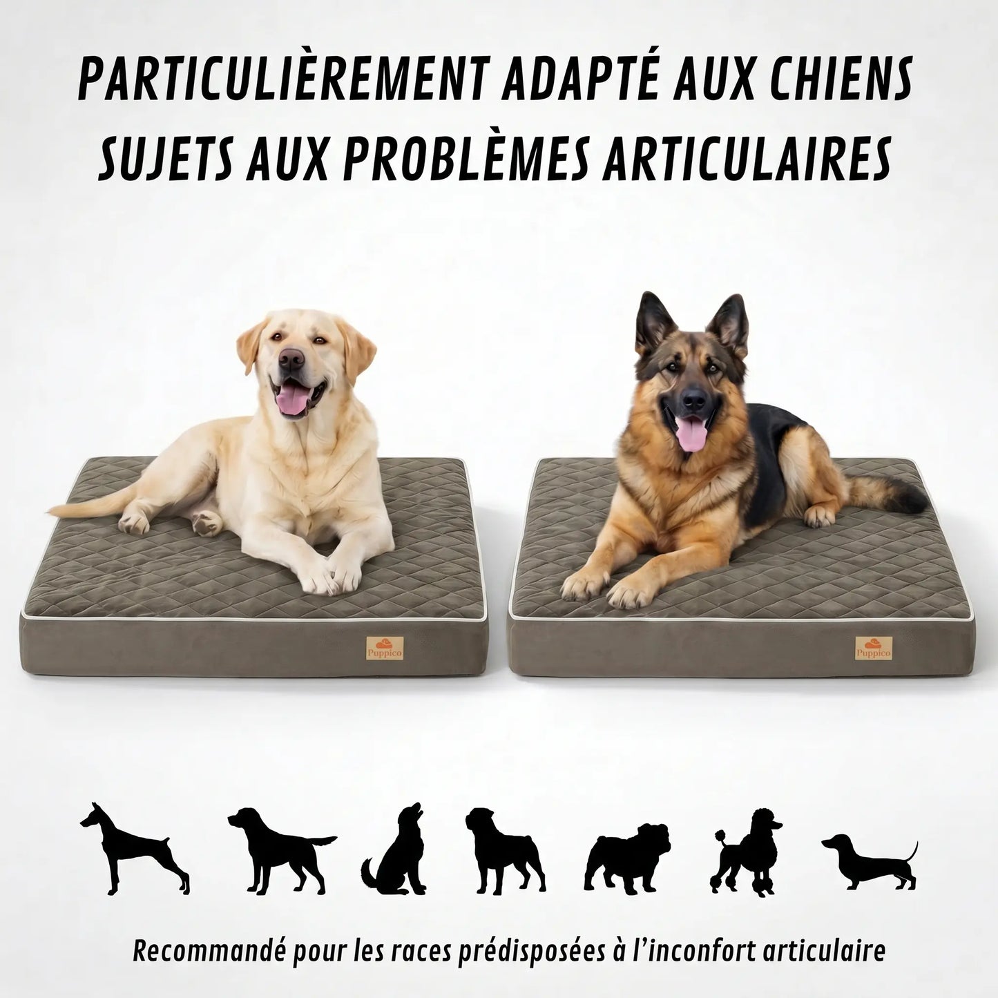 Lit orthopédique pour chiens Puppico