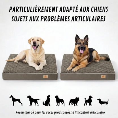 Lit orthopédique pour chiens Puppico