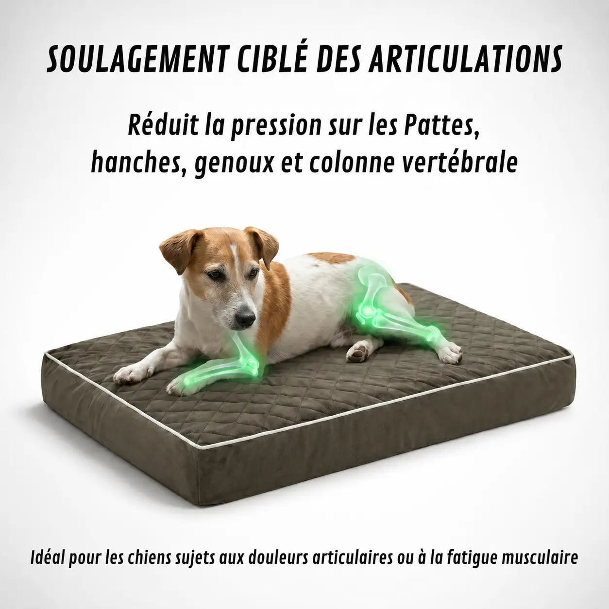 Lit orthopédique pour chiens Puppico