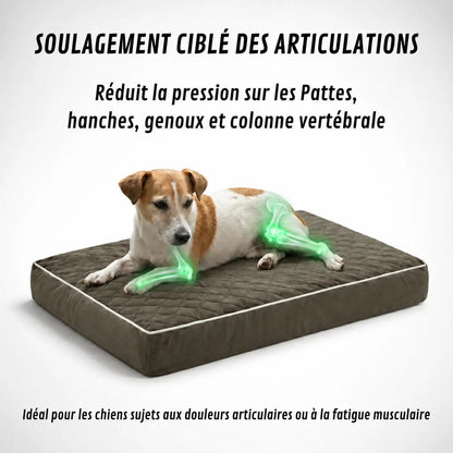 Lit orthopédique pour chiens Puppico
