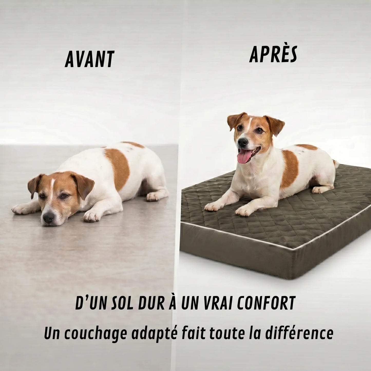Lit orthopédique pour chiens Puppico